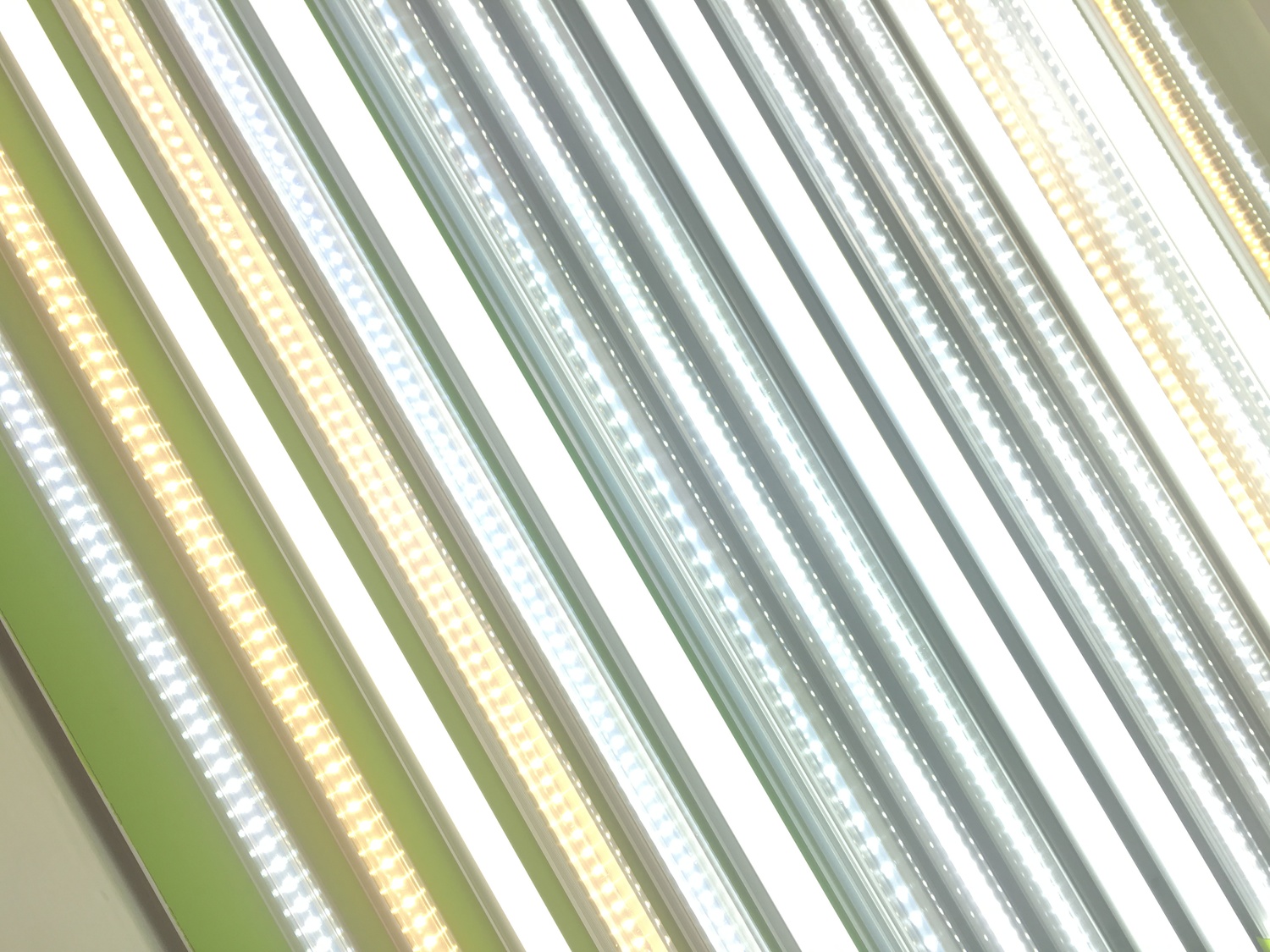 TUBOS LED