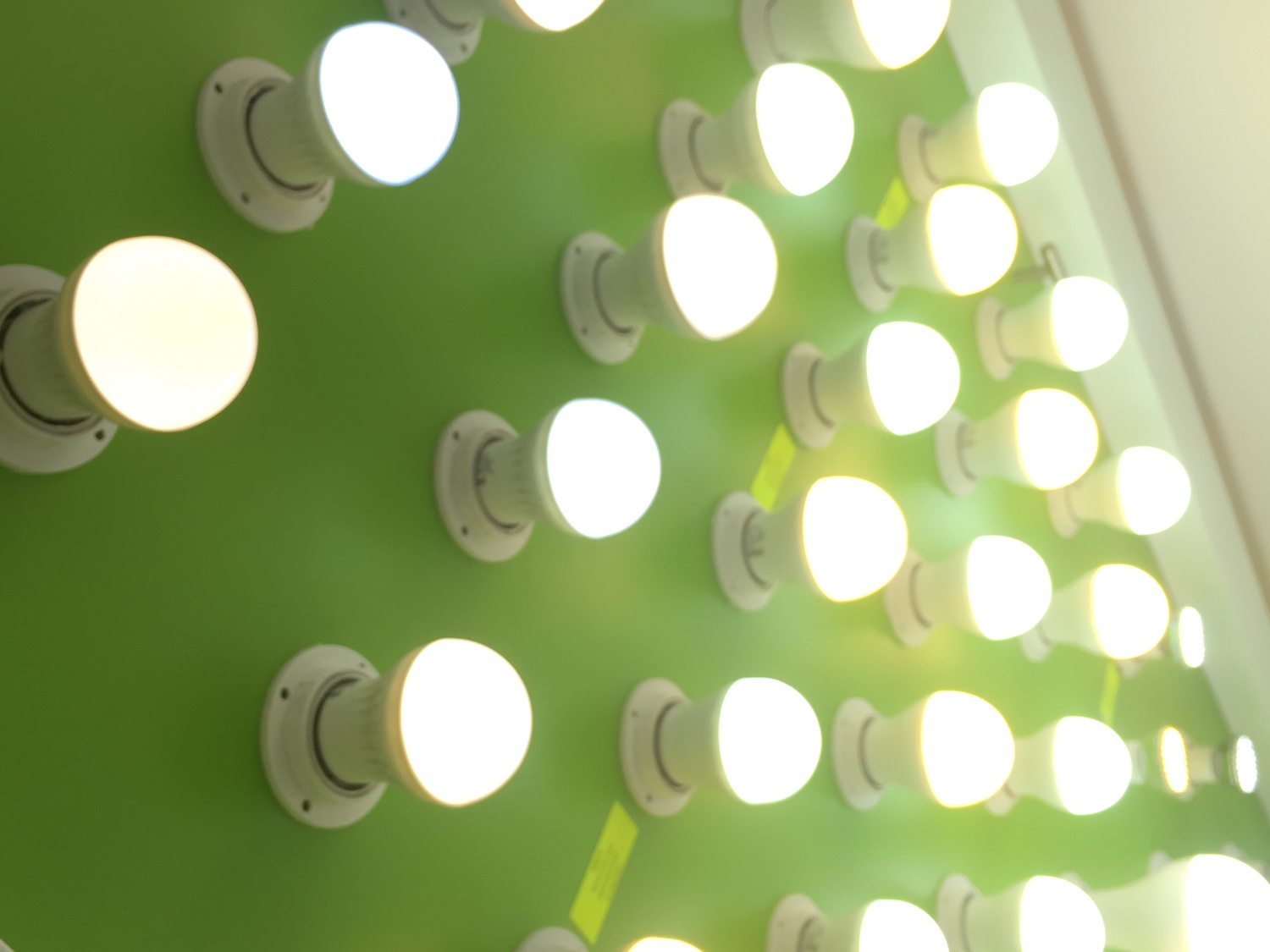 FOCOS LED